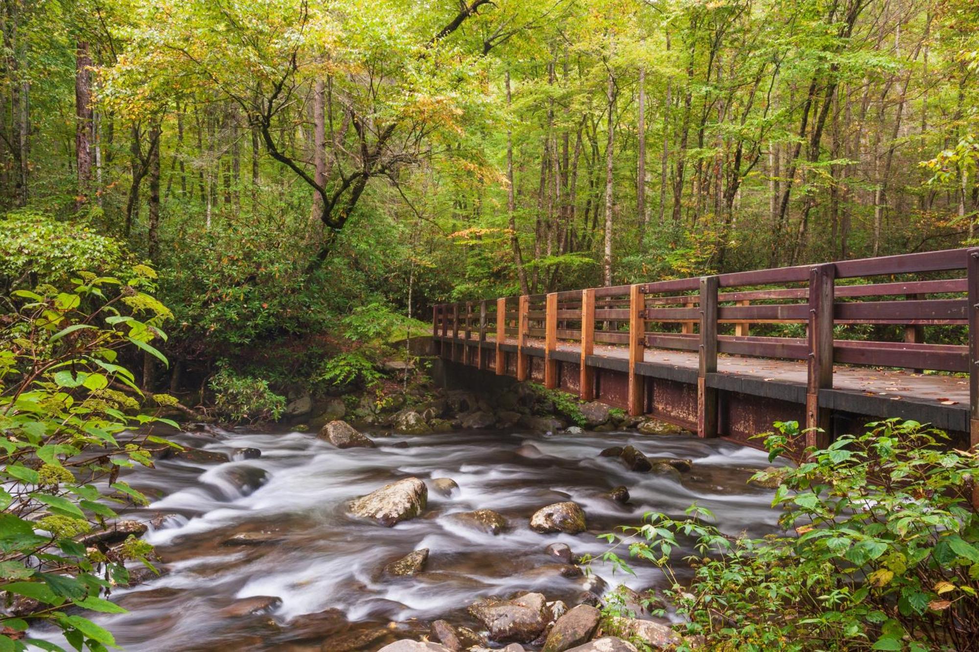 Majestic View Lodge, Amazing Views, Hot Tub, 1089 Free Tickets Each Paid Day, Dollywood And More Gatlinburg Buitenkant foto